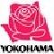 @yokohama_koho图标